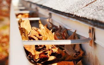Newton Green gutter cleaning companies