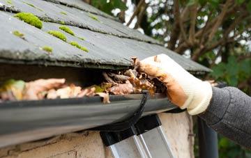 gutter cleaning Newton Green, Monmouthshire